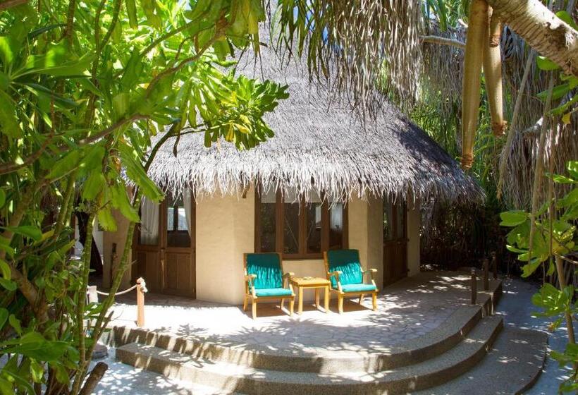 ویلای 1 خوابه, Coco Palm Dhuni Kolhu