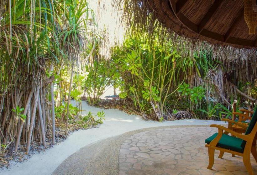 ویلای 1 خوابه, Coco Palm Dhuni Kolhu