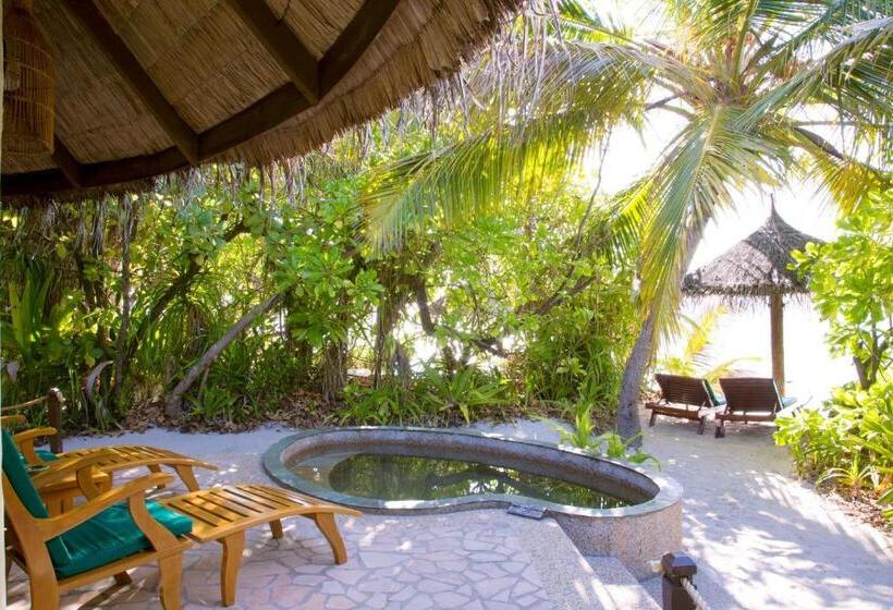 ویلای لوکس 1 خوابه, Coco Palm Dhuni Kolhu