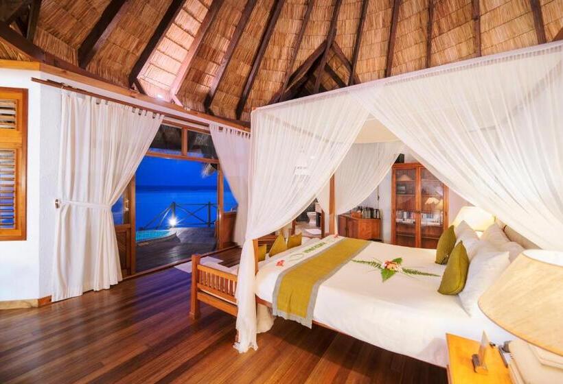 ویلای 1 خوابه, Coco Palm Dhuni Kolhu