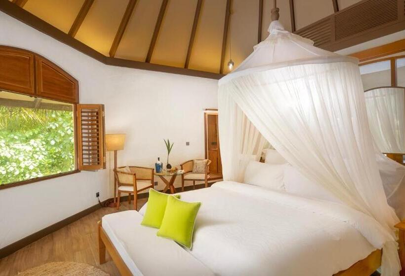 ویلای یک اتاق خوابه با استخر شنا, Coco Palm Dhuni Kolhu