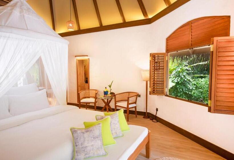 ویلای یک اتاق خوابه با استخر شنا, Coco Palm Dhuni Kolhu