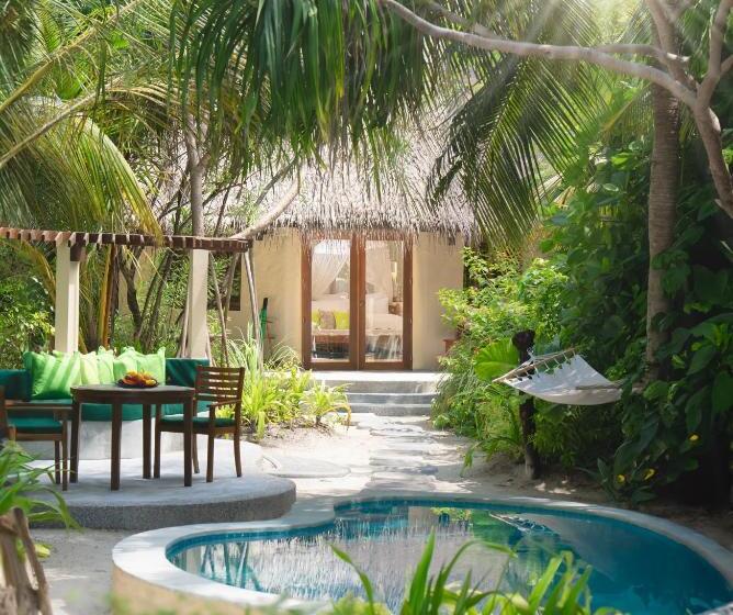 ویلای یک اتاق خوابه با استخر شنا, Coco Palm Dhuni Kolhu