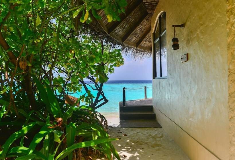 ویلای 1 خوابه, Coco Palm Dhuni Kolhu