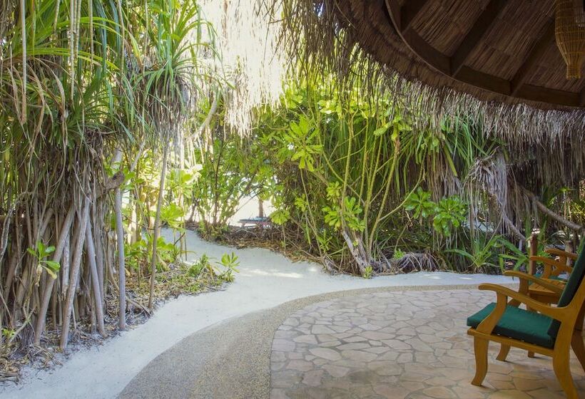 ویلای 1 خوابه, Coco Palm Dhuni Kolhu