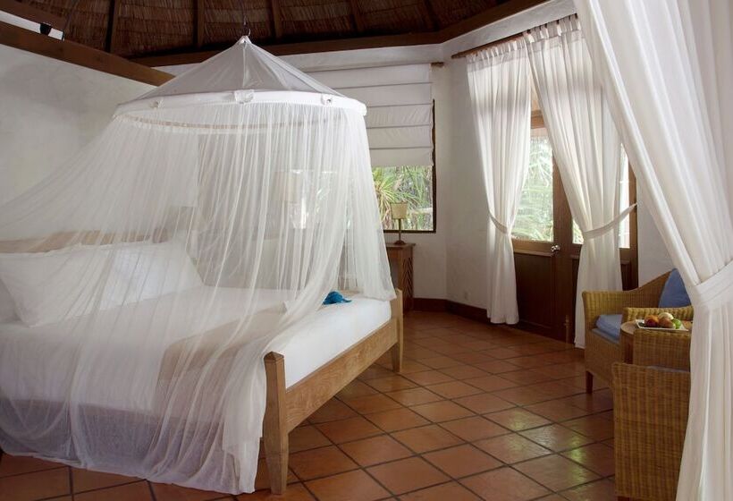 ویلای 1 خوابه, Coco Palm Dhuni Kolhu