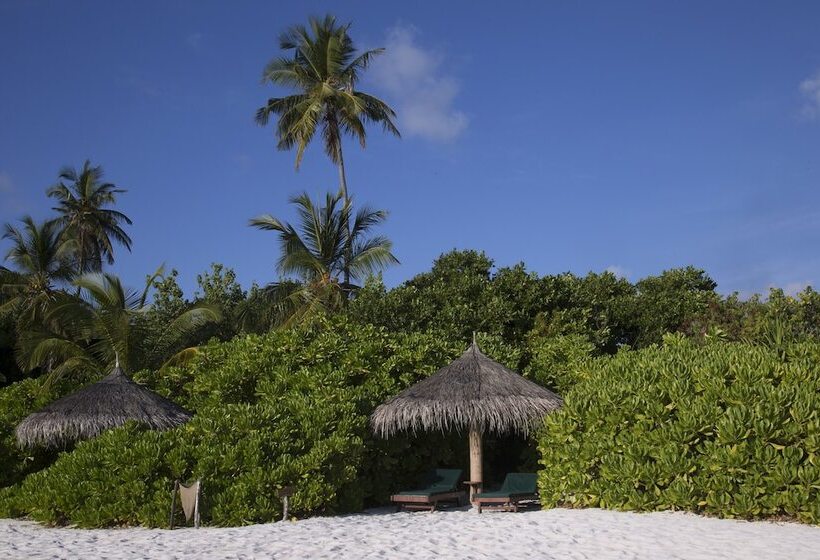 ویلای 1 خوابه, Coco Palm Dhuni Kolhu