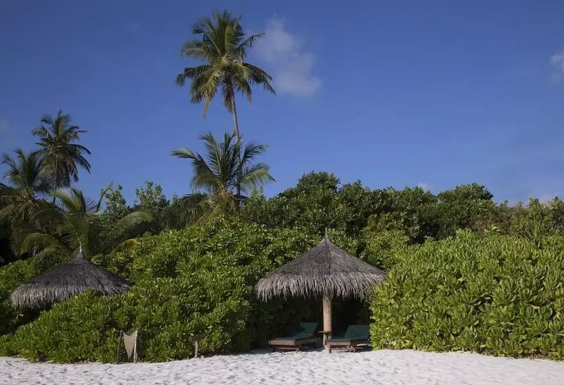ویلای 1 خوابه, Coco Palm Dhuni Kolhu