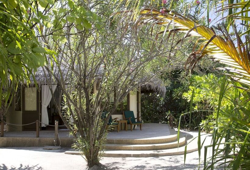 ویلای 1 خوابه, Coco Palm Dhuni Kolhu