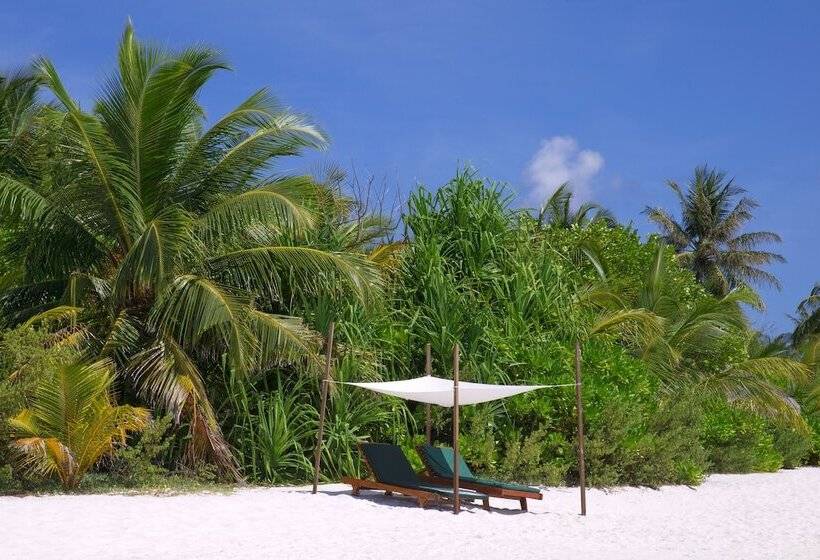 ویلای 1 خوابه, Coco Palm Dhuni Kolhu