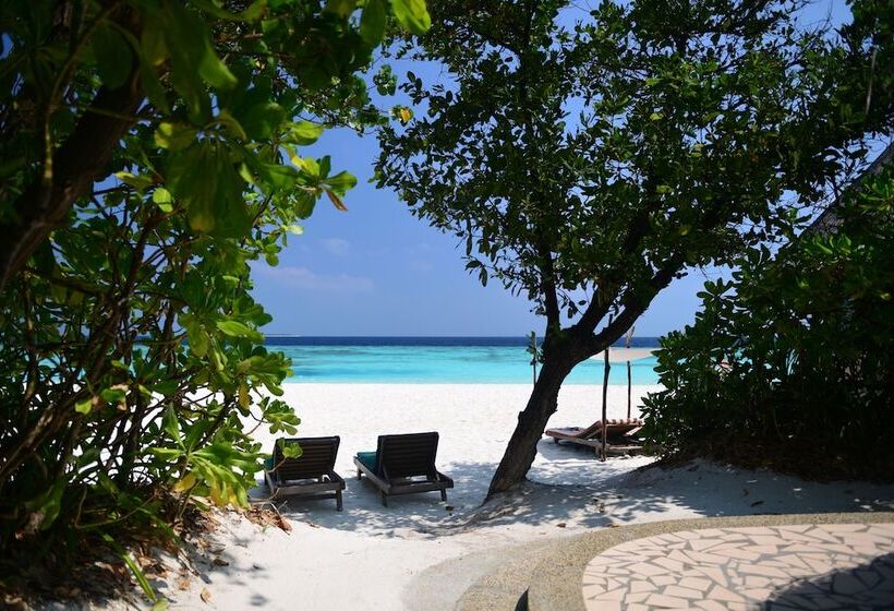 ویلای لوکس 1 خوابه, Coco Palm Dhuni Kolhu