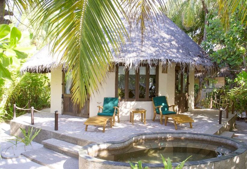 ویلای لوکس 1 خوابه, Coco Palm Dhuni Kolhu