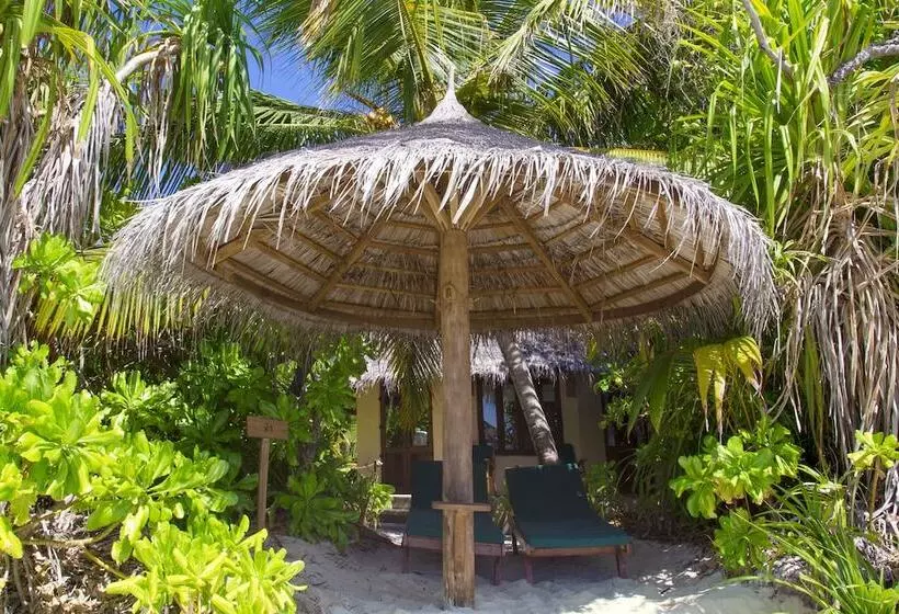 ویلای لوکس 1 خوابه, Coco Palm Dhuni Kolhu