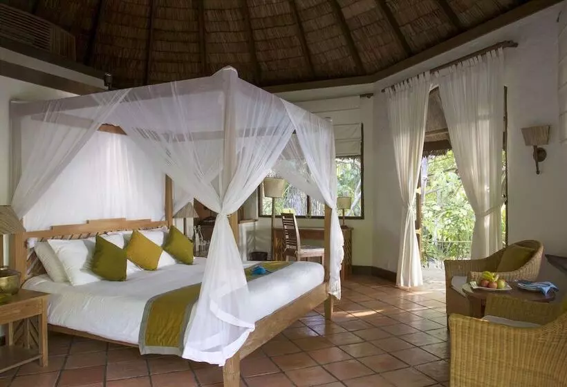 1 Bedroom Deluxe Villa