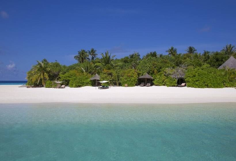 ویلای 1 خوابه, Coco Palm Dhuni Kolhu