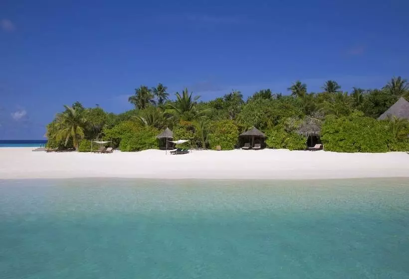 ویلای 1 خوابه, Coco Palm Dhuni Kolhu