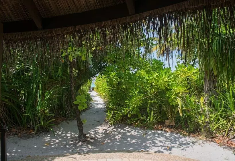 ویلای 1 خوابه, Coco Palm Dhuni Kolhu
