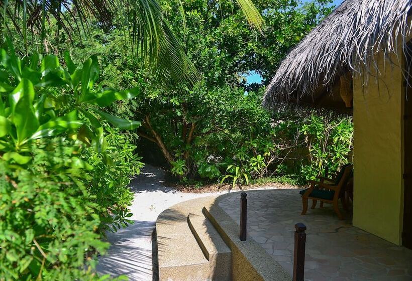 ویلای 1 خوابه, Coco Palm Dhuni Kolhu