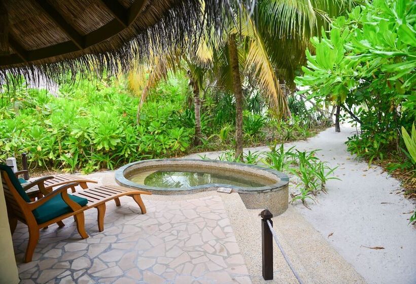 ویلای لوکس 1 خوابه, Coco Palm Dhuni Kolhu