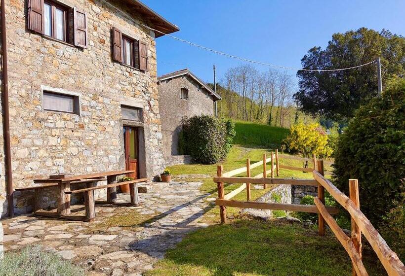 Студия Стандарт, Agriturismo Giandriale