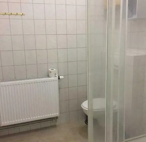 テラス付き1ベッドルームアパートメント, Ferienhaus 3 _ Ferien Im Gutspark