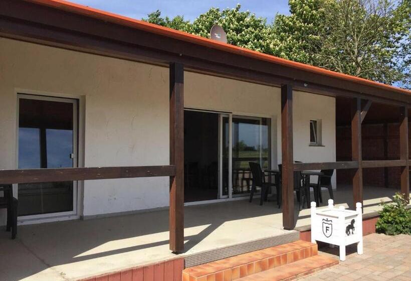 Apartament 1 Dormitori, Ferienhaus 3 _ Ferien Im Gutspark