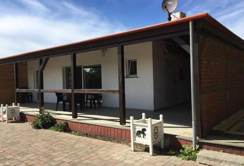 Apartament 1 Dormitori, Ferienhaus 3 _ Ferien Im Gutspark