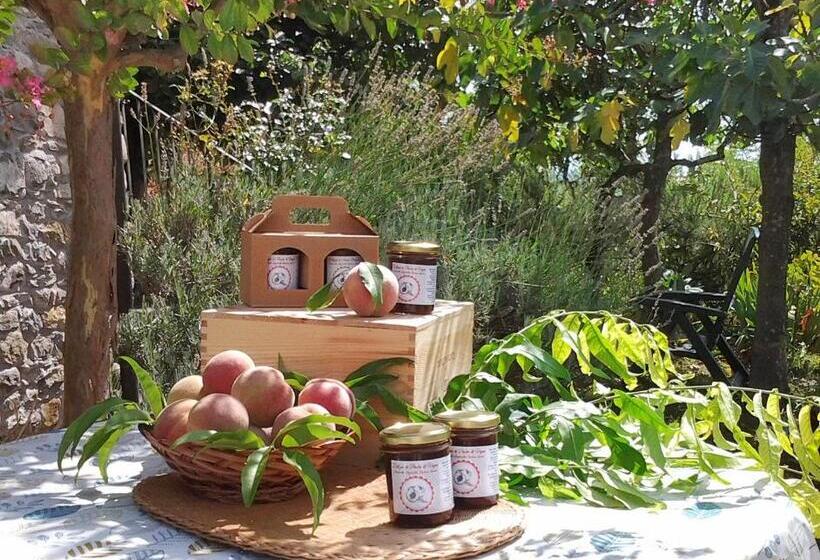 شقة غرفة واحدة مطلة على الحديقة, Forni Rosaia