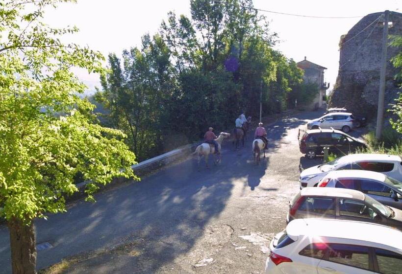 شقة غرفة واحدة, Forni Rosaia