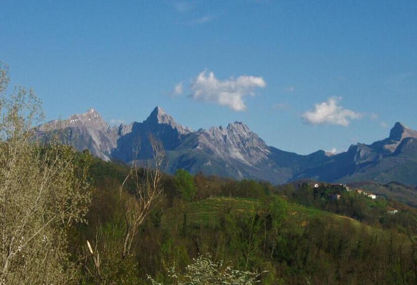 شقة غرفة واحدة, Forni Rosaia