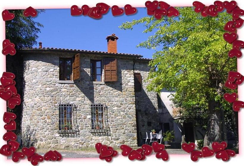 شقة غرفة واحدة, Forni Rosaia