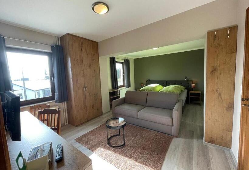 חדר סטנדרט לשלושה, Schröder