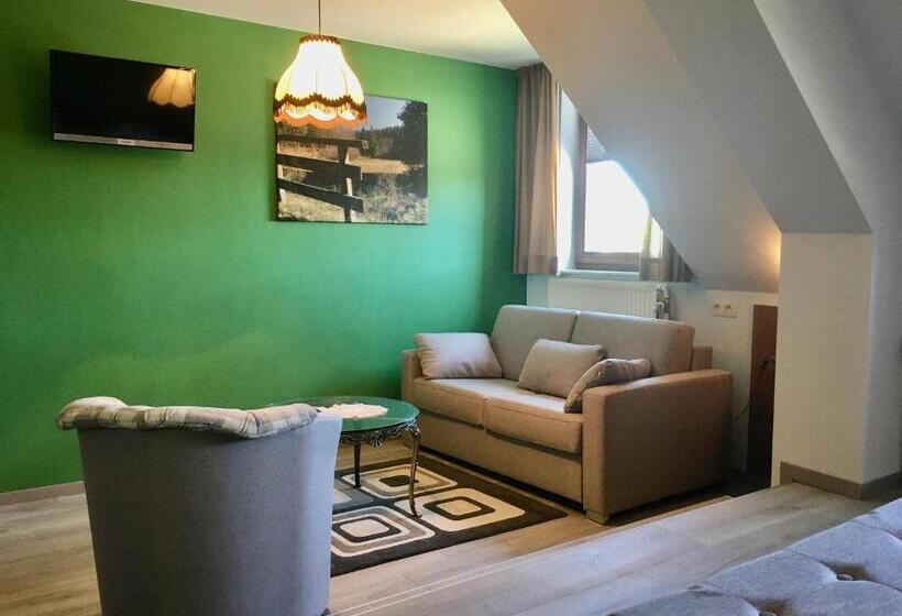 חדר סטנדרט לשלושה, Schröder