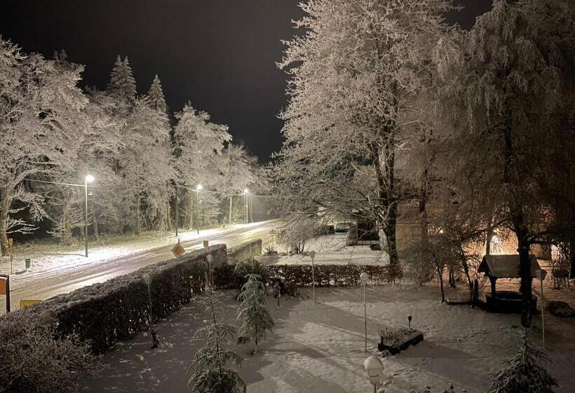 חדר דלוקס עם מרפסת, Schröder