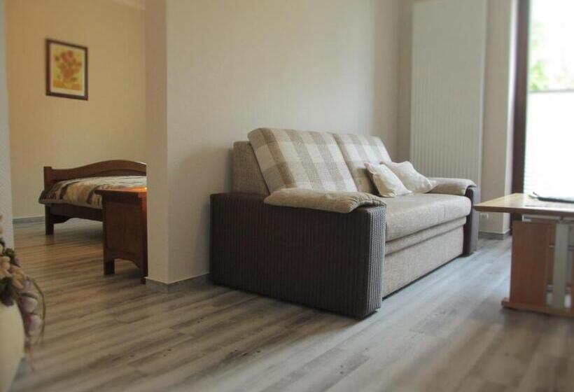 חדר דלוקס עם מרפסת, Schröder