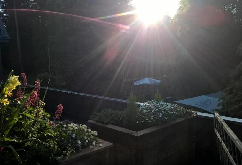 חדר דלוקס עם מרפסת, Schröder