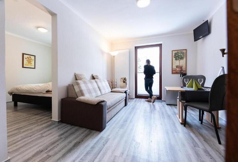 חדר דלוקס עם מרפסת, Schröder