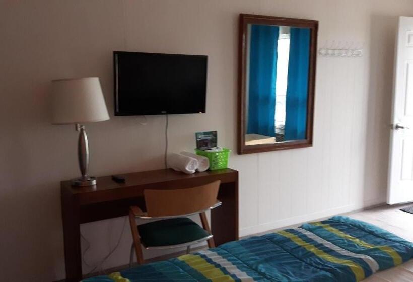 إستوديو ديلوكس, All Tucked Inn