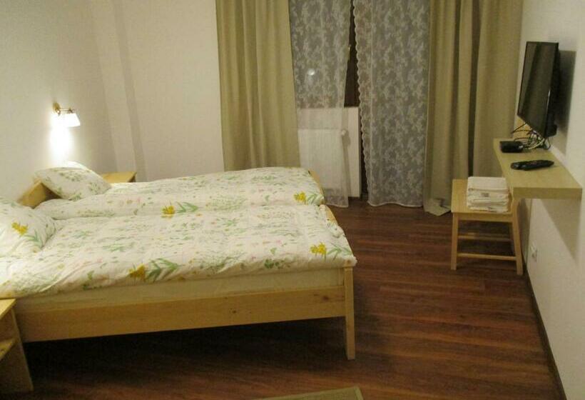 غرفة قياسية, Cabana Poiana Galdei