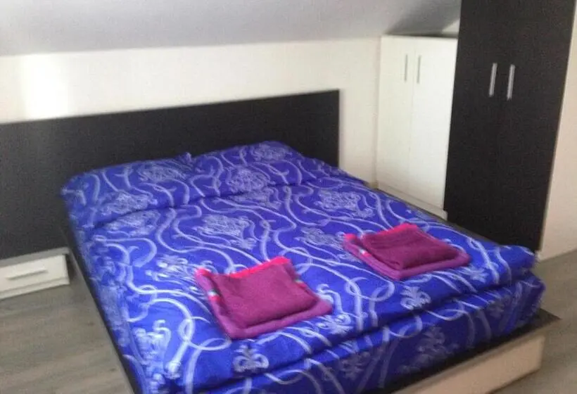 デラックスルーム, Casa Lidia și Gogu