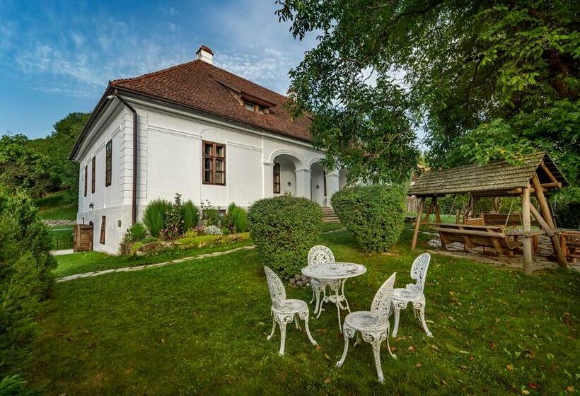 １ベッドルームのデラックスアパートメント, Conacul Gaal Kuria