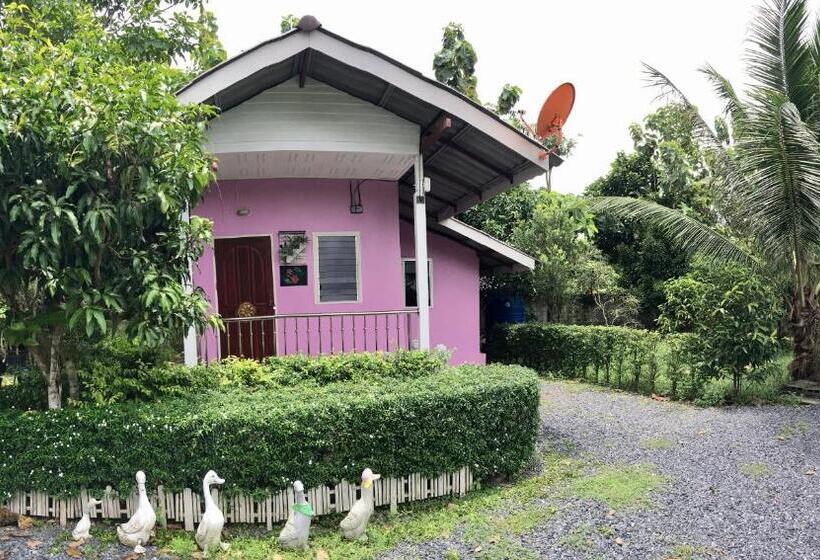 标准房带园景, Panpim Resort