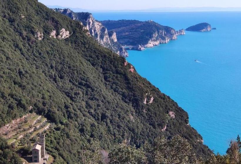 Номер Стандарт, Pietra Di Mare