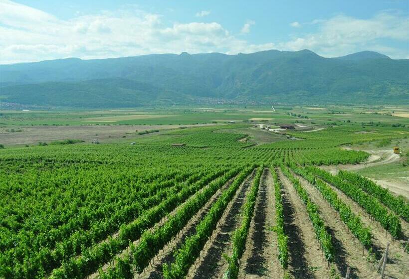 スリーベッドルーム ヴィラ, Yustina Villas Guest House