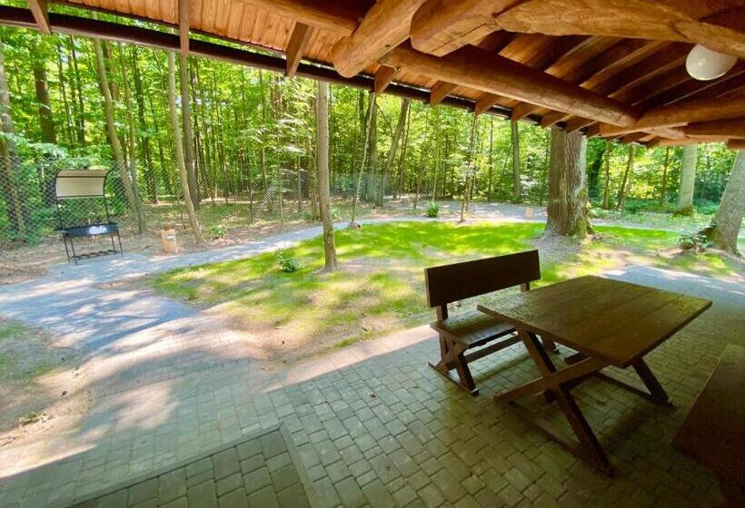 חדר סטנדרט, Resort Stariy Prud