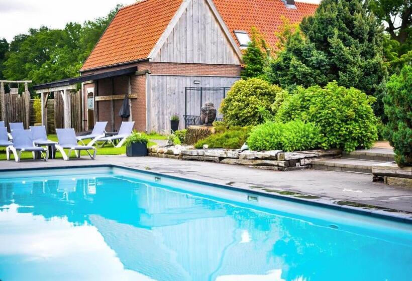 スタンダードルーム, Wellnesshotel Spabron