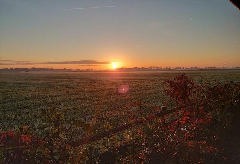 Номер Стандарт с Террасой, B&b Zusenzomer