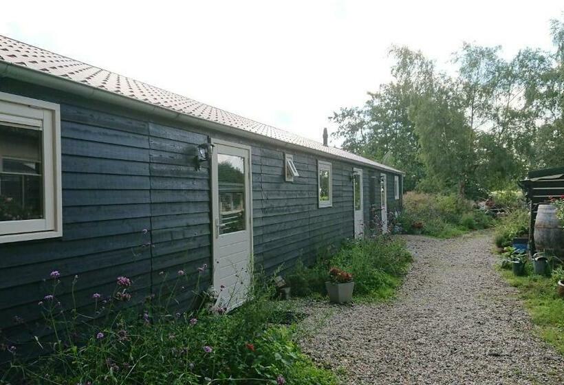 Номер Стандарт с Террасой, B&b Zusenzomer