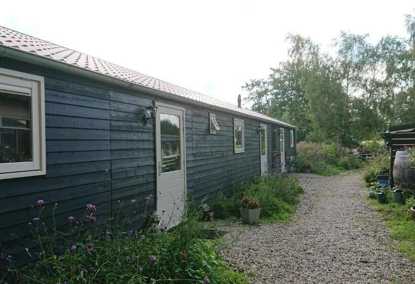 Номер Стандарт с Террасой, B&b Zusenzomer