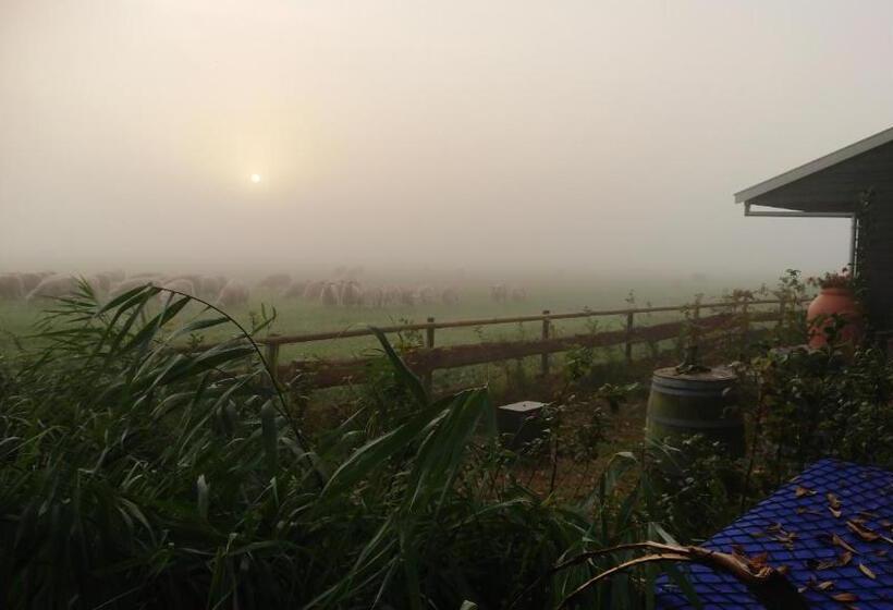 Номер Superior Кровать Кинг, B&b Zusenzomer